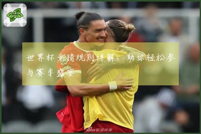 世界杯竞猜规则详解，助你轻松参与赛季盛宴
