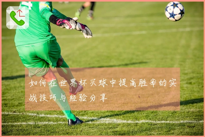如何在世界杯买球中提高胜率的实战技巧与经验分享