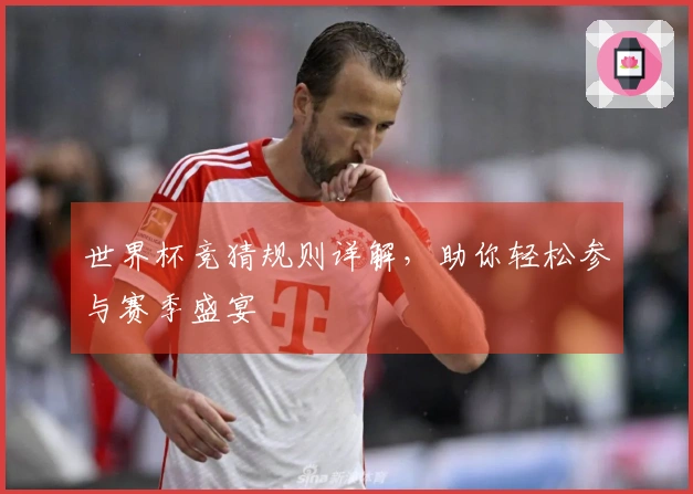 世界杯竞猜规则详解，助你轻松参与赛季盛宴