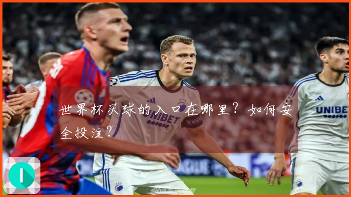 世界杯买球的入口在哪里？如何安全投注？