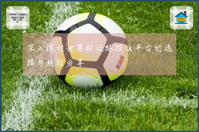深入探讨世界杯让球投注平台的选择与经验分享