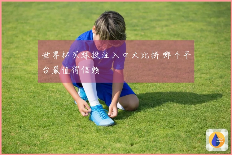 世界杯买球投注入口大比拼 哪个平台最值得信赖